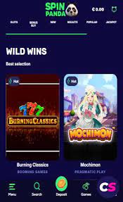 Spinanga Online Gambling Establishment Review