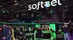Malta-based Soft2Bet secures Danish Video gaming permit