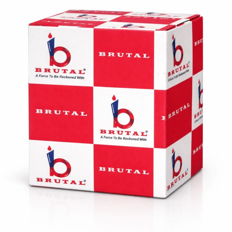 BRUTAL HERO BS6 OIL FILTER
